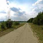 Niemieckie Lotnisko Polowe w Woskrzenicach Dużych