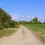 Niemieckie Lotnisko Polowe w Woskrzenicach Dużych