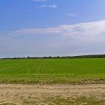 Niemieckie Lotnisko Polowe w Woskrzenicach Dużych