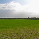 Niemieckie Lotnisko Polowe w Woskrzenicach Dużych