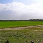 Niemieckie Lotnisko Polowe w Woskrzenicach Dużych