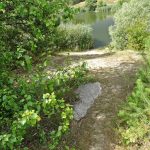 Niemieckie Lotnisko Polowe w Woskrzenicach Dużych