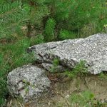 Niemieckie Lotnisko Polowe w Woskrzenicach Dużych