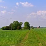 Niemieckie Lotnisko Polowe w Woskrzenicach Dużych