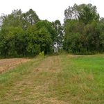 Niemieckie Lotnisko Polowe w Woskrzenicach Dużych