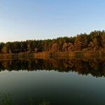 Niemieckie Lotnisko Polowe w Woskrzenicach Dużych