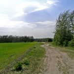 Niemieckie Lotnisko Polowe w Woskrzenicach Dużych