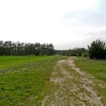 Niemieckie Lotnisko Polowe w Woskrzenicach Dużych