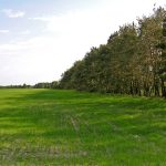 Niemieckie Lotnisko Polowe w Woskrzenicach Dużych