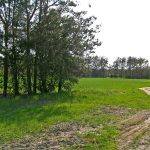 Niemieckie Lotnisko Polowe w Woskrzenicach Dużych