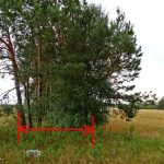 Niemieckie Lotnisko Polowe w Woskrzenicach Dużych