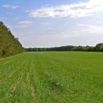 Niemieckie Lotnisko Polowe w Woskrzenicach Dużych