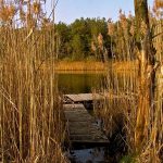 Niemieckie Lotnisko Polowe w Woskrzenicach Dużych