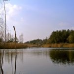 Niemieckie Lotnisko Polowe w Woskrzenicach Dużych