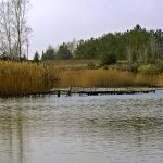 Niemieckie Lotnisko Polowe w Woskrzenicach Dużych