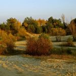 Niemieckie Lotnisko Polowe w Woskrzenicach Dużych