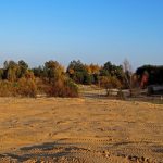 Niemieckie Lotnisko Polowe w Woskrzenicach Dużych