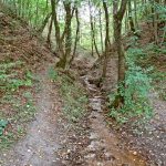 Słowiańskie ślady