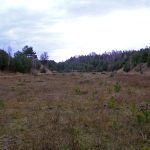 Stacja Radiolokacyjna „AVIA W” w lasach Wólki Plebańskiej