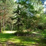 Stacja Radiolokacyjna „AVIA W” w lasach Wólki Plebańskiej