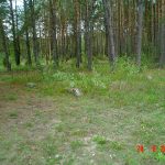 Stacja Radiolokacyjna „AVIA W” w lasach Wólki Plebańskiej