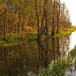 Stacja Radiolokacyjna „AVIA W” w lasach Wólki Plebańskiej