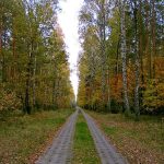 Stacja Radiolokacyjna „AVIA W” w lasach Wólki Plebańskiej