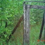 Stacja Radiolokacyjna „AVIA W” w lasach Wólki Plebańskiej