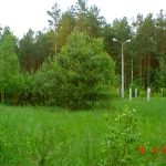 Stacja Radiolokacyjna „AVIA W” w lasach Wólki Plebańskiej