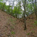 Słowiańskie ślady