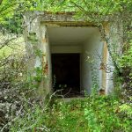 Stacja Radiolokacyjna „AVIA W” w lasach Wólki Plebańskiej