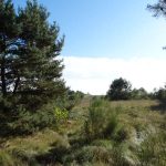 Słowiańskie ślady