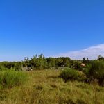 Słowiańskie ślady