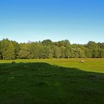 Słowiańskie ślady