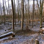 Słowiańskie ślady