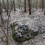 Słowiańskie ślady