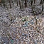 Słowiańskie ślady