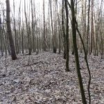 Słowiańskie ślady