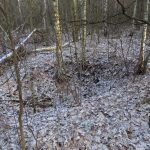 Słowiańskie ślady