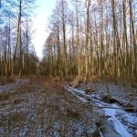 Słowiańskie ślady