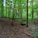 Słowiańskie ślady