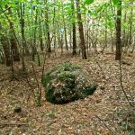 Słowiańskie ślady