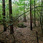 Słowiańskie ślady