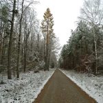 Słowiańskie ślady