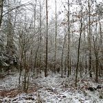 Słowiańskie ślady