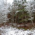 Słowiańskie ślady