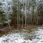 Słowiańskie ślady