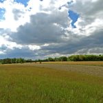 Umocnienia Twierdzy Brzeskiej „Bateria Kolonia Dobratycze”