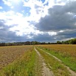 Umocnienia Twierdzy Brzeskiej „Bateria Kolonia Dobratycze”