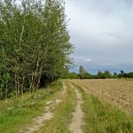 Umocnienia Twierdzy Brzeskiej „Bateria Kolonia Dobratycze”